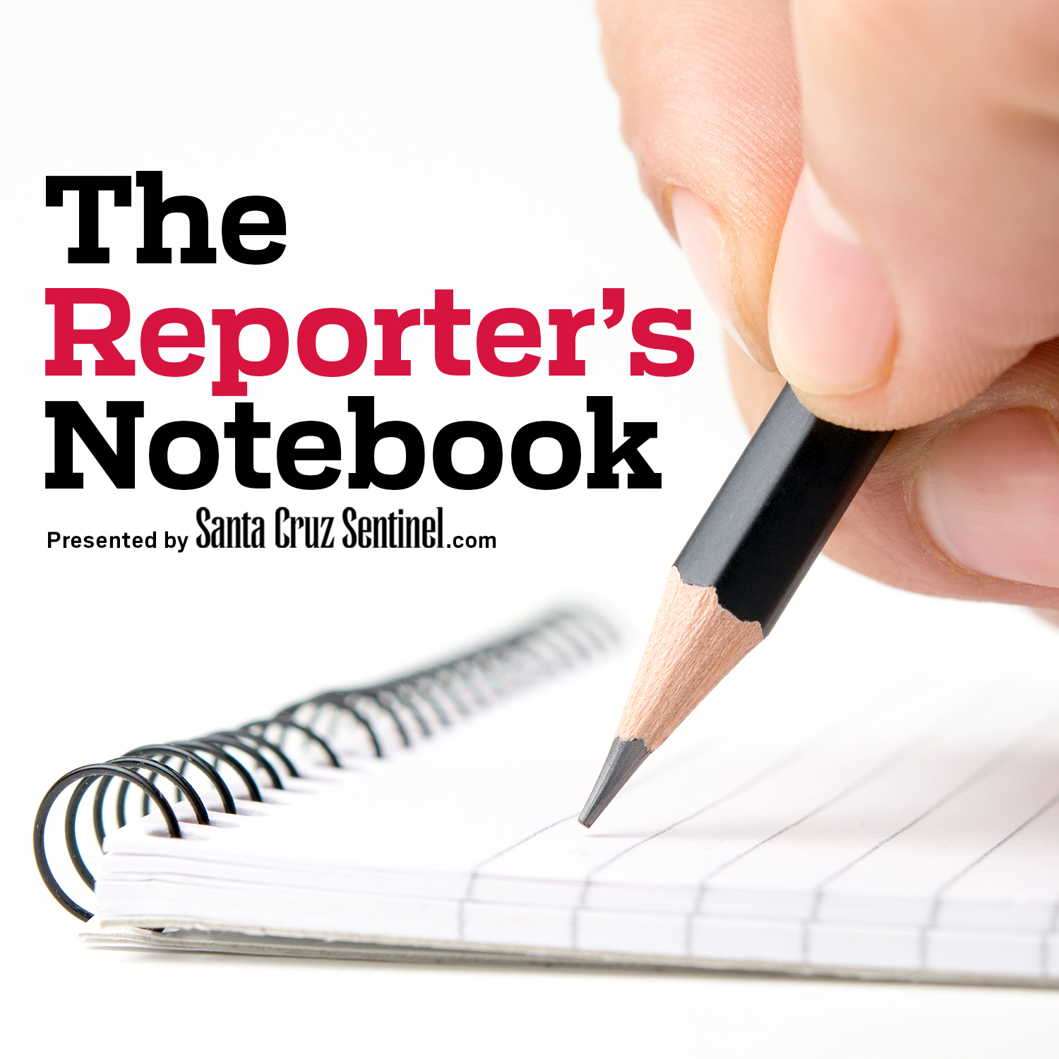 The Reporter\'s Notebook