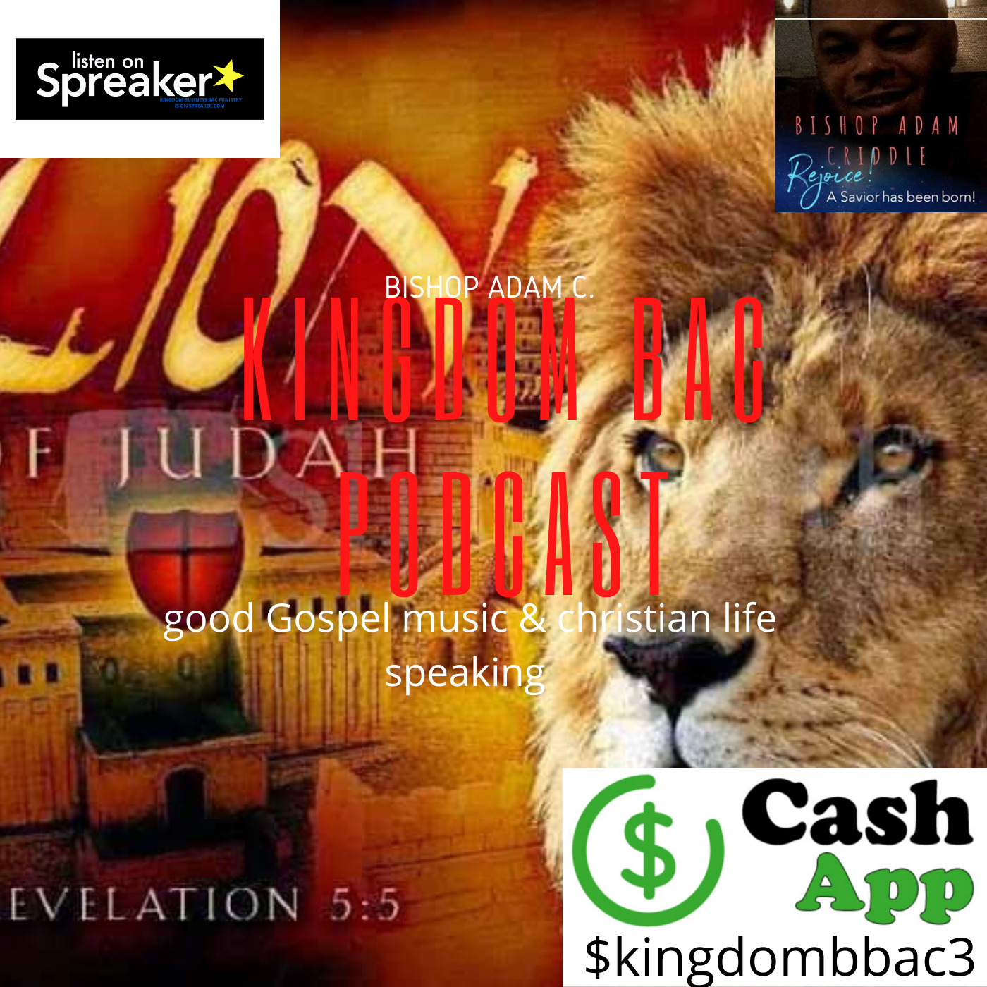 KINGDOM  BUSINESS Bac Ministry's show KINGDOM  BUSINESS Bac Ministry's show