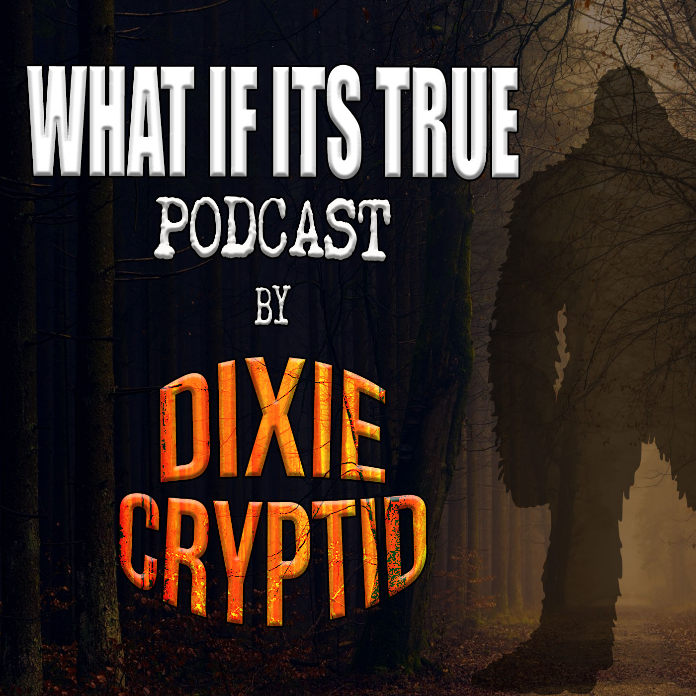 What if it's True Podcast What if it's True Podcast